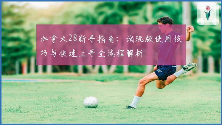 加拿大28新手指南:试玩版使用技巧与快速上手全流程解析