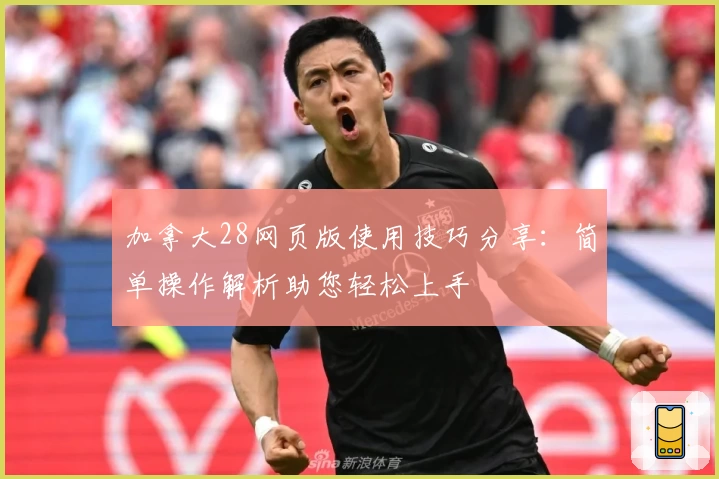 加拿大28网页版使用技巧分享：简单操作解析助您轻松上手