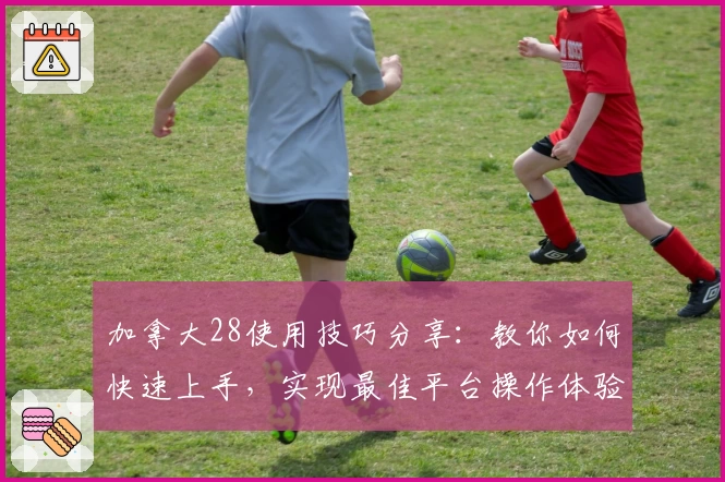 加拿大28使用技巧分享：教你如何快速上手，实现最佳平台操作体验