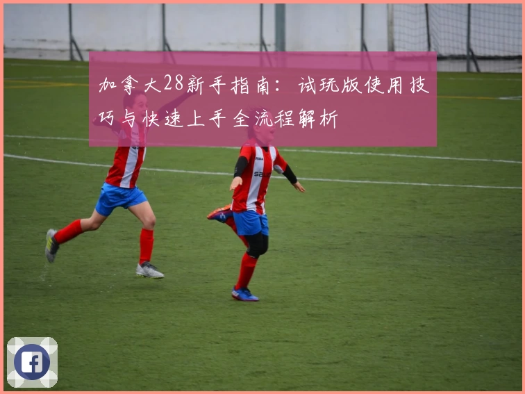加拿大28新手指南：试玩版使用技巧与快速上手全流程解析