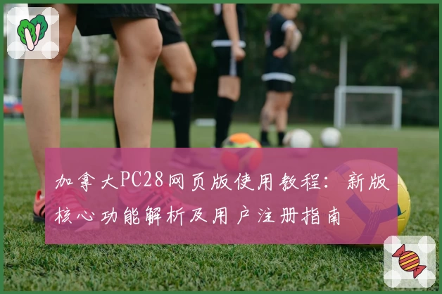 加拿大PC28网页版使用教程：新版核心功能解析及用户注册指南