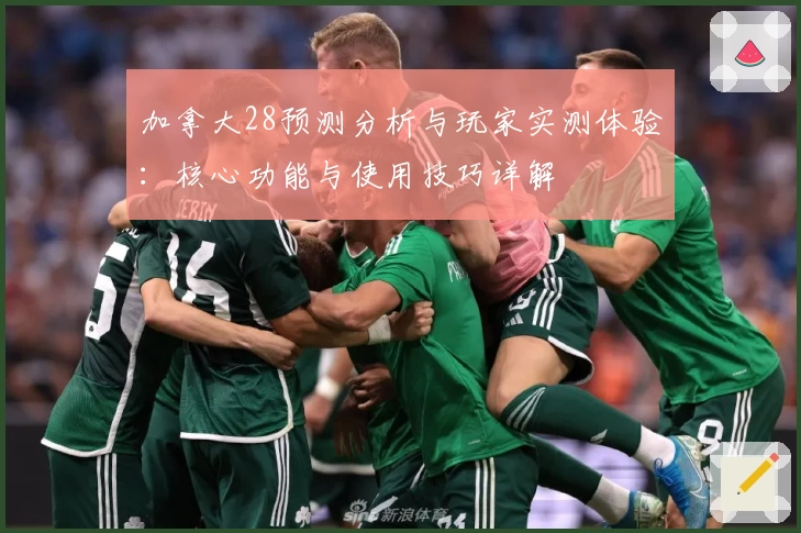 加拿大28预测分析与玩家实测体验：核心功能与使用技巧详解