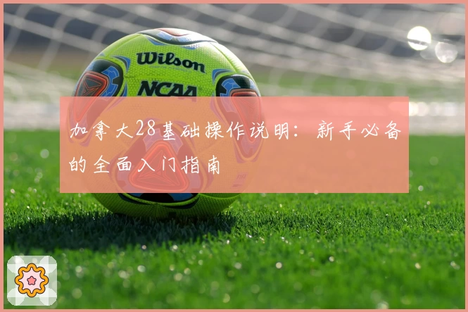 加拿大28基础操作说明：新手必备的全面入门指南