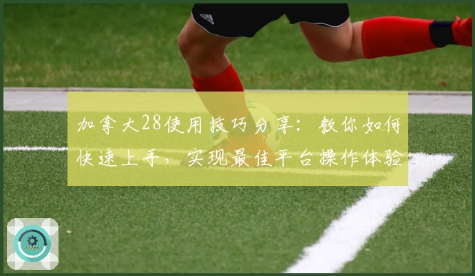 加拿大28使用技巧分享:教你如何快速上手,实现最佳平台操作体验