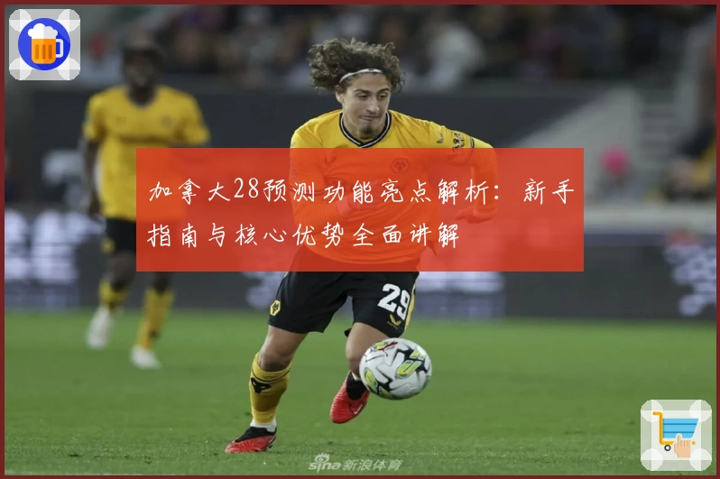 加拿大28预测功能亮点解析：新手指南与核心优势全面讲解