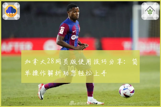 加拿大28网页版使用技巧分享：简单操作解析助您轻松上手