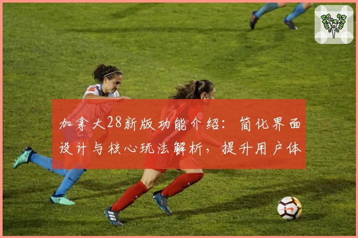 加拿大28新版功能介绍：简化界面设计与核心玩法解析，提升用户体验的新选择