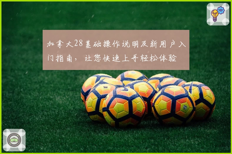 加拿大28基础操作说明及新用户入门指南，让您快速上手轻松体验